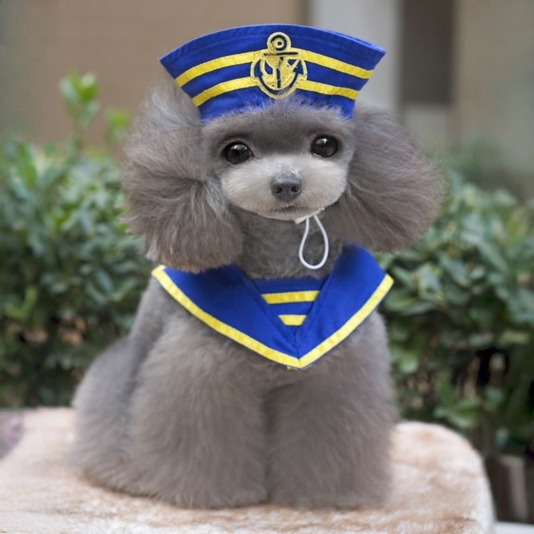 Navy Sailor Dog Costume Pet Halloween Outfit with Hat and Anchor Design